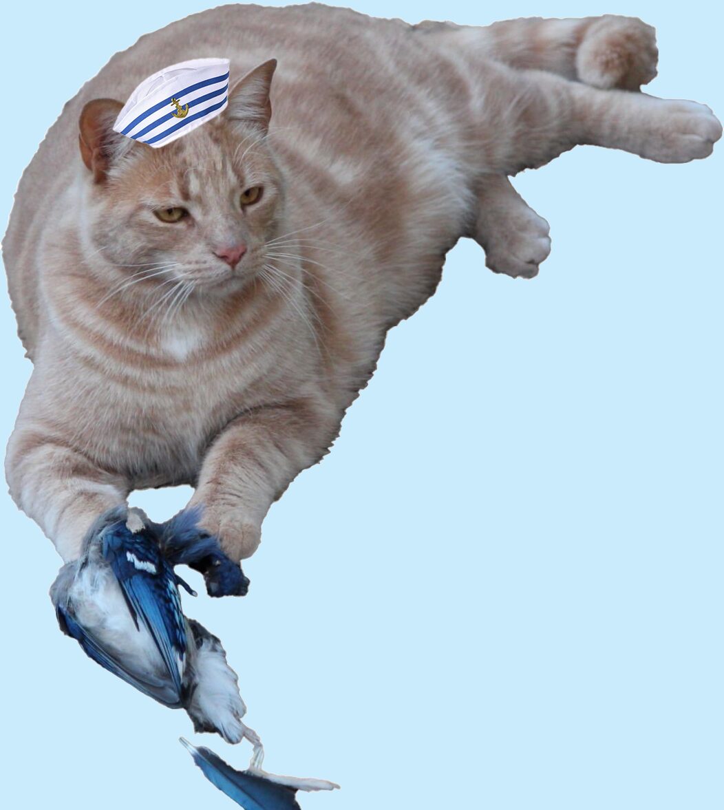 orange tabby cat wearing a sailor hat with a dead blue jay between its paws